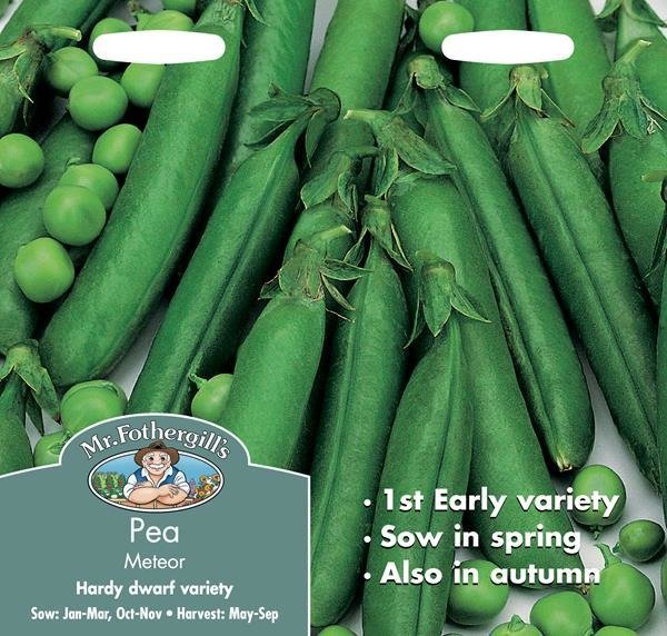 Pea Meteor Seeds