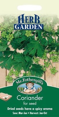 Coriander for Seed