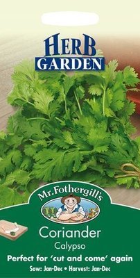 Coriander Calypso Seeds