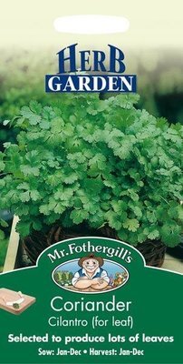 Coriander Cilantro for Leaf Seeds