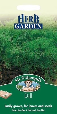 Dill Seeds