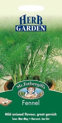Fennel Seeds
