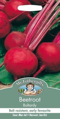 Beetroot Boltardy Seeds