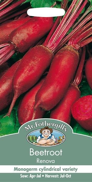 Beetroot Renova Seeds