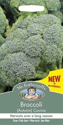 Broccoli (Autumn) Covina