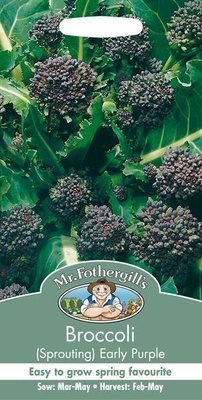 Broccoli (Sprouting) Early Purple Sprouting Seeds