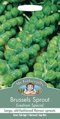 Brussels Sprout Evesham Special Seeds
