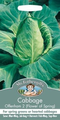 Cabbage Offenham 2 - Flower of Spring Seeds