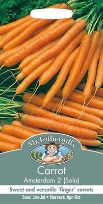 Carrot Amsterdam Forcing 2 - Solo Seeds