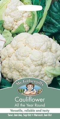 Cauliflower All The Year Round Seeds