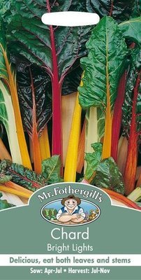 Chard Bright Lights Seeds