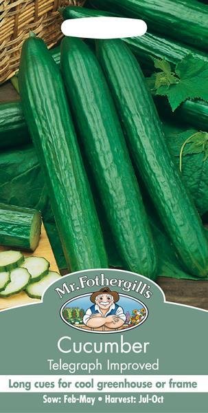 Cucumber Telegraph Improved Seeds