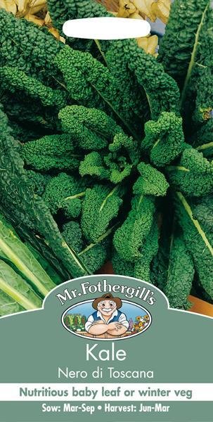 Kale Nero di Toscana Seeds