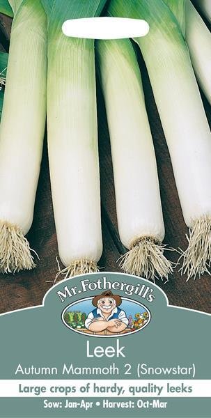 Leek Autumn Mammoth 2 - Snowstar Seeds