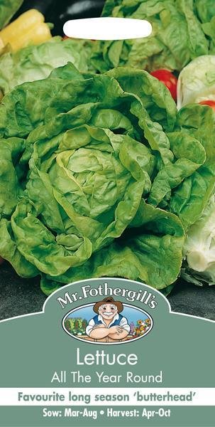 Lettuce All The Year Round Seeds