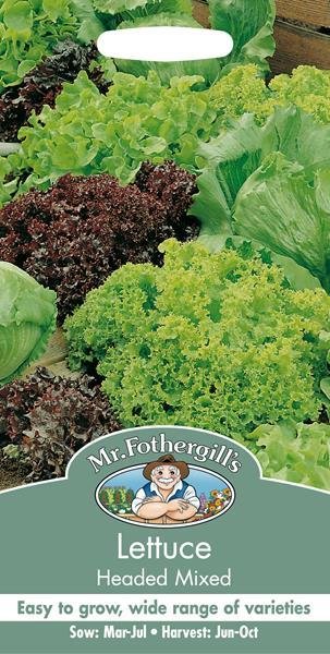 Lettuce Headed Mixed Seeds
