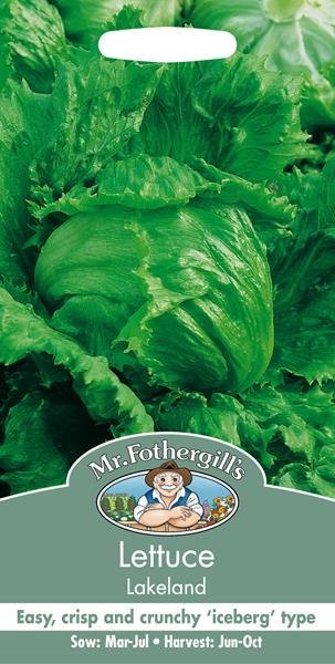 Lettuce Lakeland