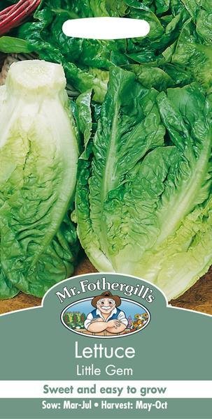 Lettuce Little Gem Seeds
