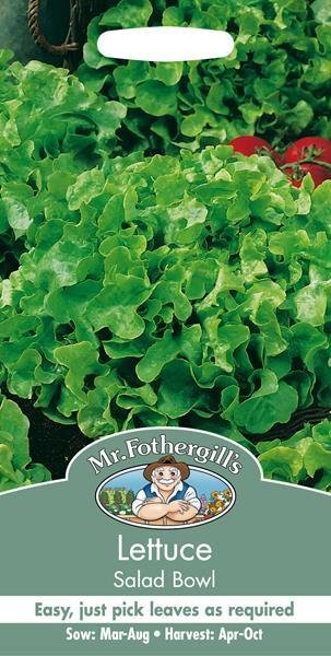 Lettuce Salad Bowl