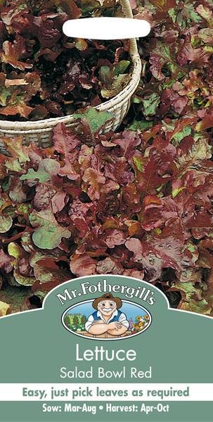 Lettuce Salad Bowl Red