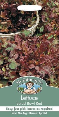 Lettuce Salad Bowl Red