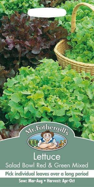 Lettuce Red &amp; Green Salad Bowl Mix