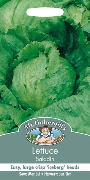 Lettuce Saladin Seeds