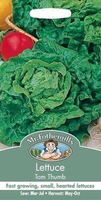 Lettuce Tom Thumb