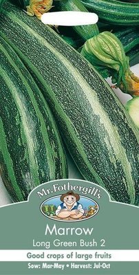 Marrow Long Green Bush 2 Seeds