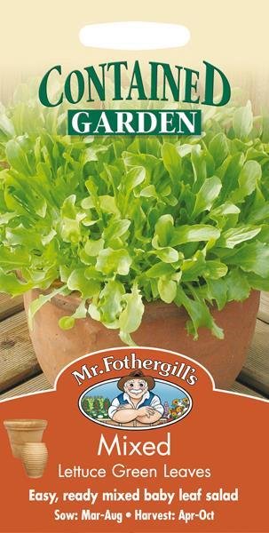 Lettuce Mixed Green Salad Leaves