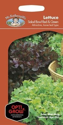 Lettuce Mixed Salad Leaves