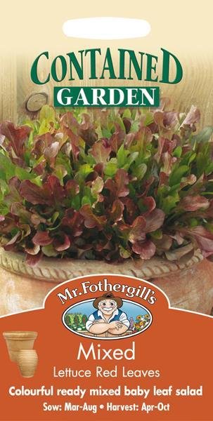Lettuce Mixed Red Salad Leaves