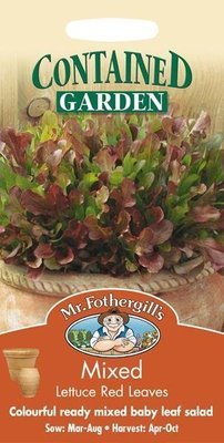 Lettuce Mixed Red Salad Leaves