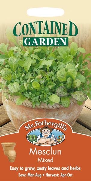 Salad Leaves Mesclun Mixed