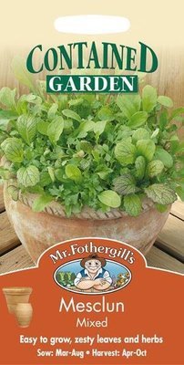 Salad Leaves Mesclun Mixed