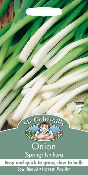 Onion (Spring) Ishikura Seeds