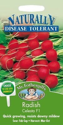 Radish Celesta F1 Seeds