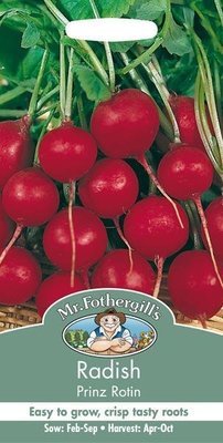 Radish Prinz Rotin Seeds