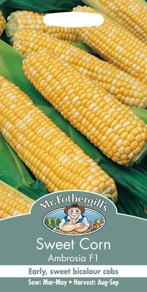 Sweet Corn Ambrosia F1 Seeds