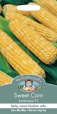 Sweet Corn Ambrosia F1 Seeds