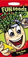 Fun with seeds (seeds for children)