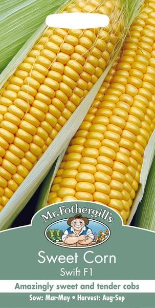 Sweet Corn Swift F1 Seeds
