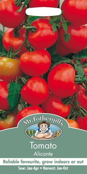 Tomato (Standard) Alicante Seeds