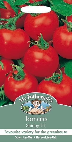 Tomato (Standard) Shirley F1 Seeds