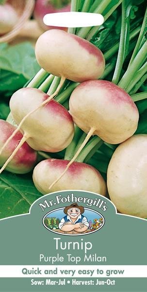 Turnip Purple Top Milan Seeds