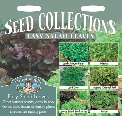 Seed Collection Salad Leaves Easy