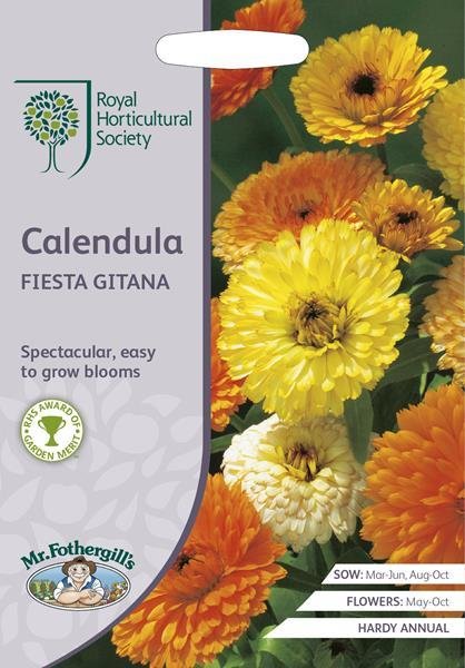 RHS Calendula Fiesta Gitana