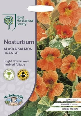 RHS Nasturtium Alaska Salmon Orange