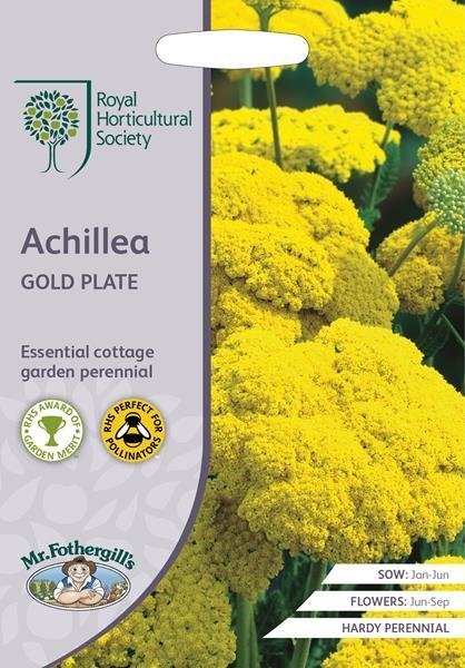 RHS Achillea Gold Plate