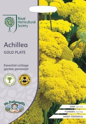 RHS Achillea Gold Plate